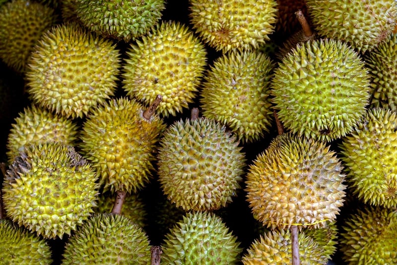 Durian fruit